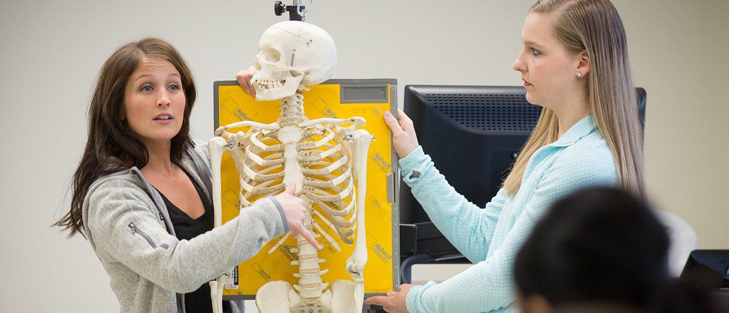 两个女人在课堂上举着一个骨骼模型